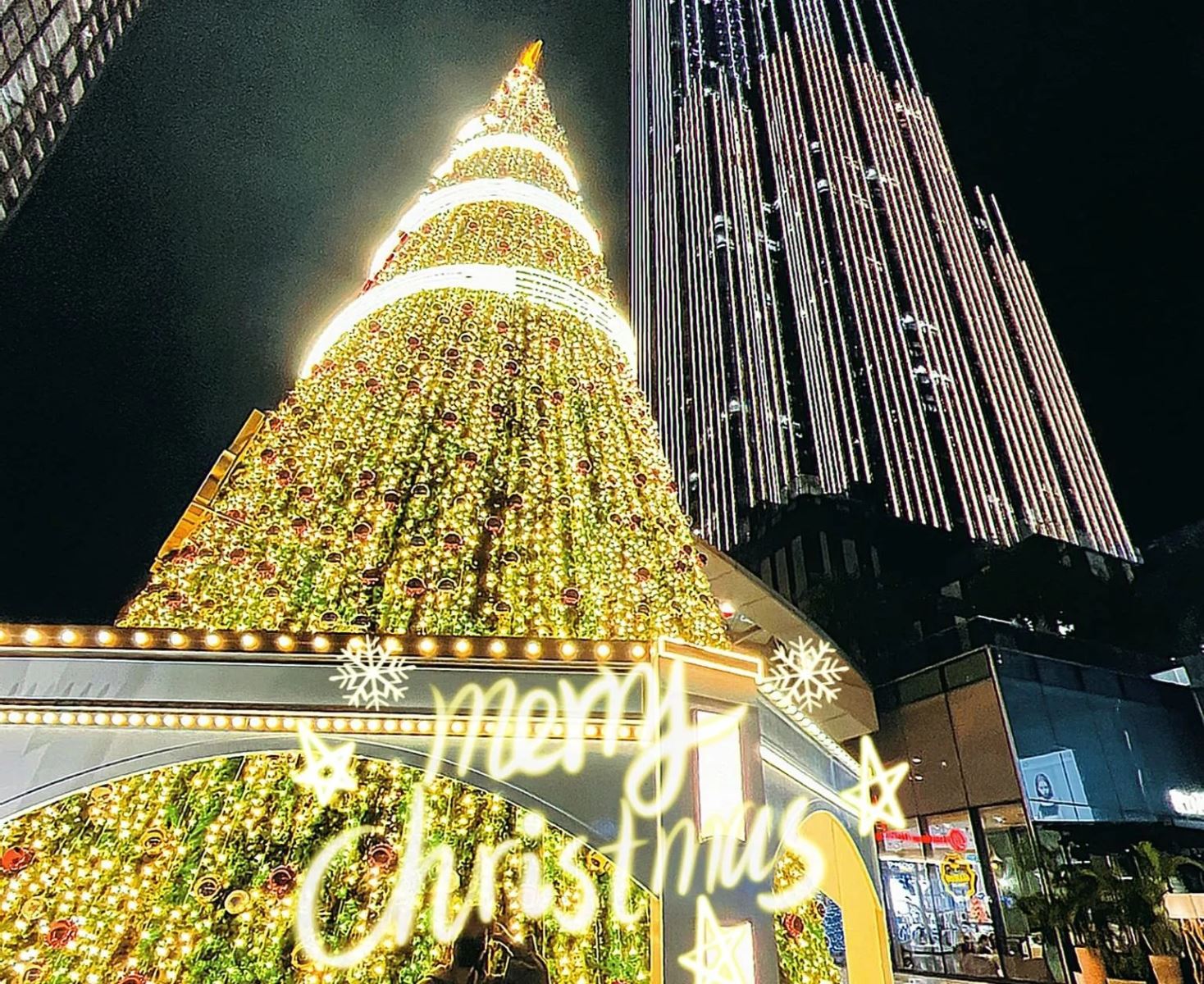 Trang trí giáng sinh ngoài trời với cây thông Noel đèn led